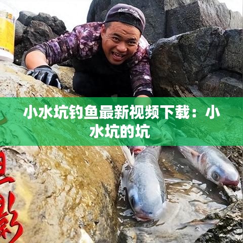 小水坑钓鱼最新视频下载:小水坑的坑