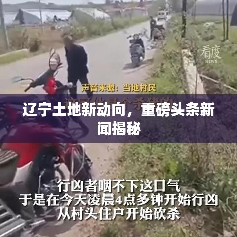 辽宁土地新动向,重磅头条新闻揭秘