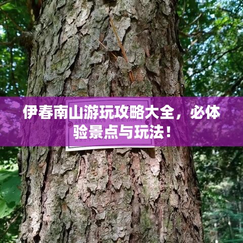 伊春南山游玩攻略大全,必体验景点与玩法!