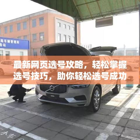 最新网页选号攻略,轻松掌握选号技巧,助你轻松选号成功!