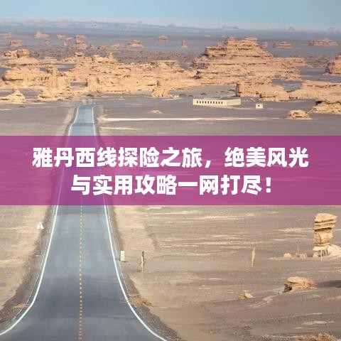雅丹西线探险之旅,绝美风光与实用攻略一网打尽!
