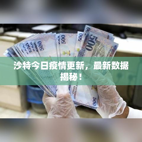 沙特今日疫情更新，最新数据揭秘！