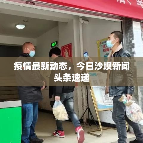 疫情最新动态，今日沙坝新闻头条速递