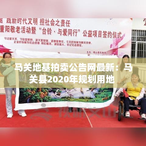 马关地基拍卖公告网最新:马关县2020年规划用地