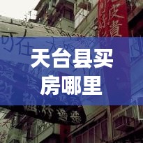 天台县买房哪里合适啊最新消息:天台买房子