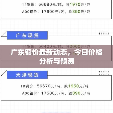 广东铜价最新动态,今日价格分析与预测