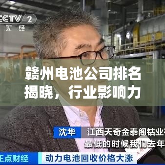 赣州电池公司排名揭晓，行业影响力不容小觑！