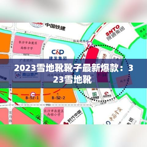 2023雪地靴靴子最新爆款:323雪地靴