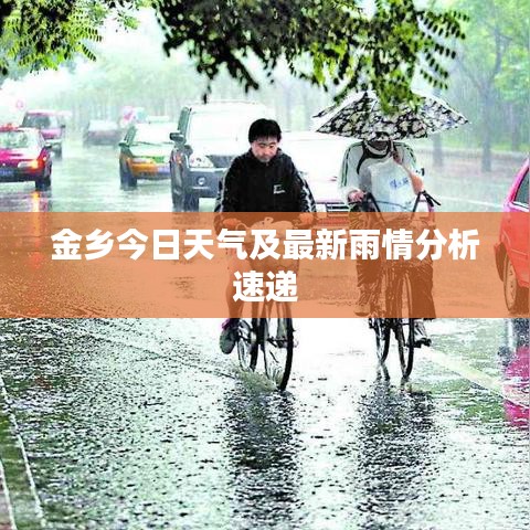 金乡今日天气及最新雨情分析速递