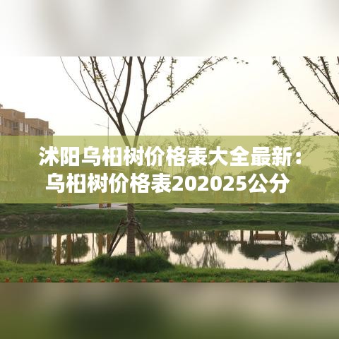 沭阳乌桕树价格表大全最新：乌桕树价格表202025公分 