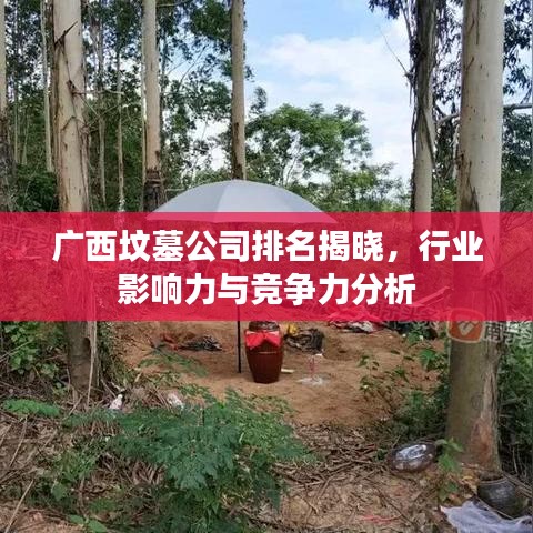 广西坟墓公司排名揭晓,行业影响力与竞争力分析