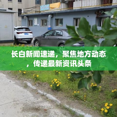 长白新闻速递,聚焦地方动态,传递最新资讯头条