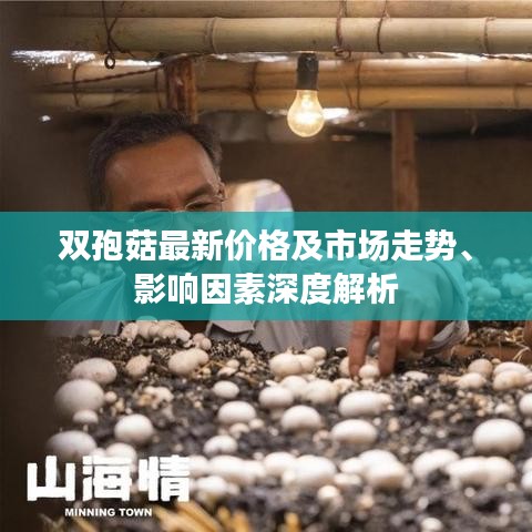 双孢菇最新价格及市场走势、影响因素深度解析
