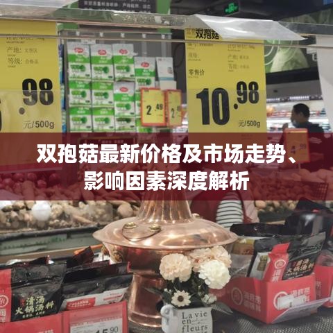 双孢菇最新价格及市场走势、影响因素深度解析