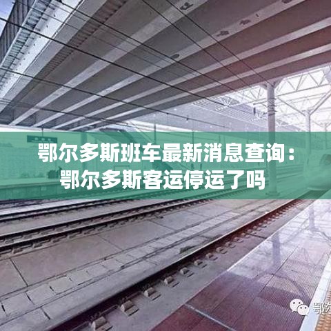 鄂尔多斯班车最新消息查询:鄂尔多斯客运停运了吗