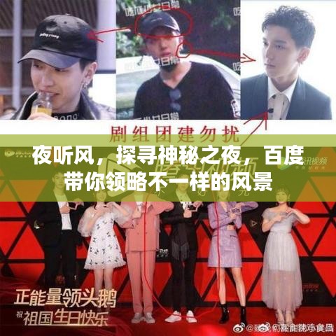 夜听风,探寻神秘之夜,百度带你领略不一样的风景