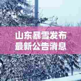 山东暴雪发布最新公告消息:山东暴雪天气预报