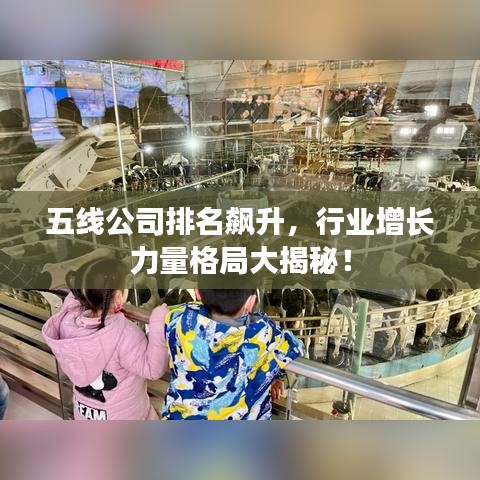 五线公司排名飙升,行业增长力量格局大揭秘!