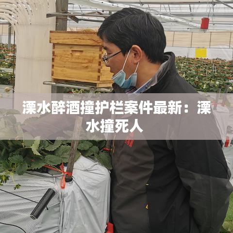 溧水醉酒撞护栏案件最新:溧水撞死人