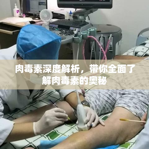 肉毒素深度解析,带你全面了解肉毒素的奥秘