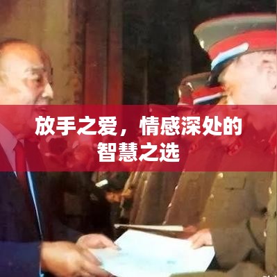 放手之爱,情感深处的智慧之选