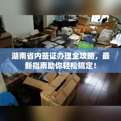 湖南省内签证办理全攻略，最新指南助你轻松搞定！