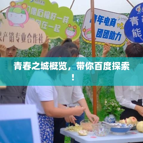 择善而从 第5页