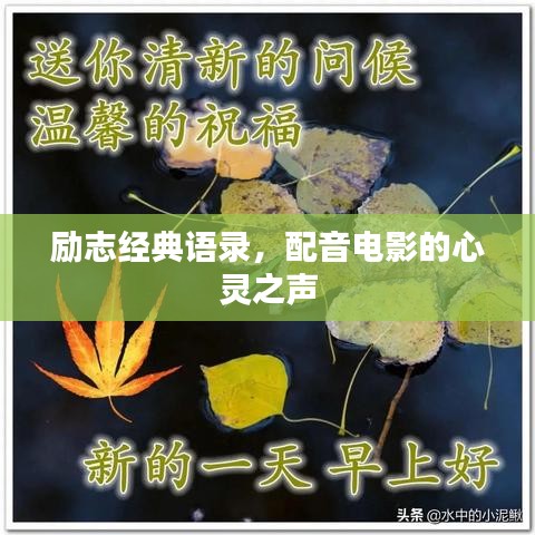 励志经典语录,配音电影的心灵之声