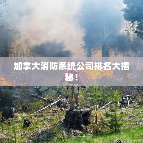 加拿大消防系统公司排名大揭秘!