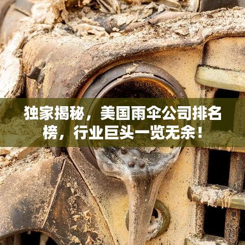 独家揭秘，美国雨伞公司排名榜，行业巨头一览无余！