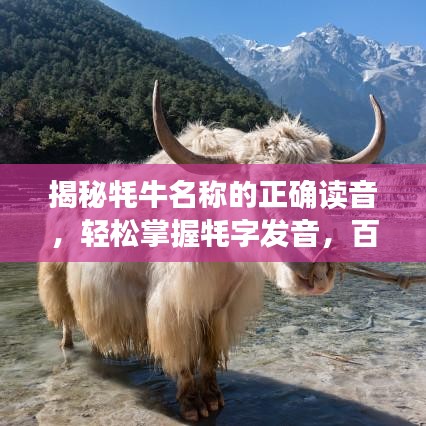 揭秘牦牛名称的正确读音,轻松掌握牦字发音,百度助你成为知识达人