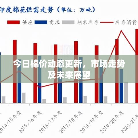 今日棉价动态更新,市场走势及未来展望