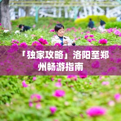 「独家攻略」洛阳至郑州畅游指南