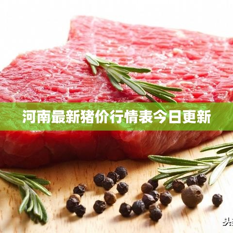 河南最新猪价行情表今日更新