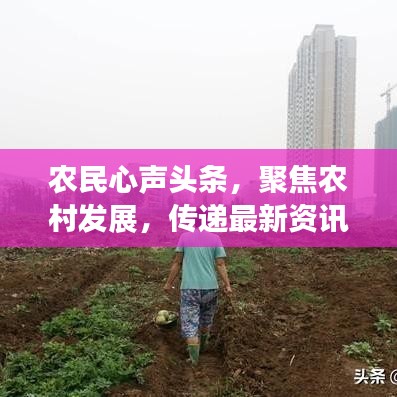 农民心声头条,聚焦农村发展,传递最新资讯