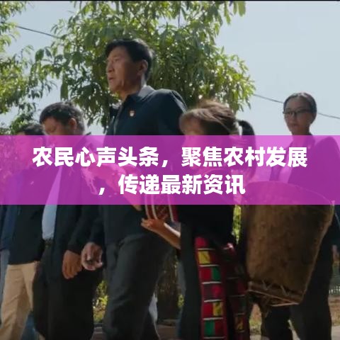 农民心声头条,聚焦农村发展,传递最新资讯