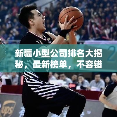 飞潜动植 第4页