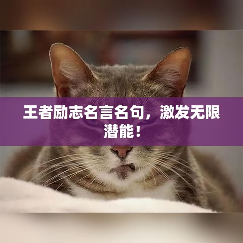 王者励志名言名句，激发无限潜能！