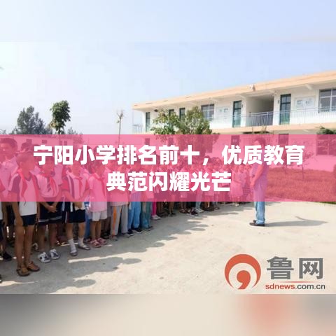 宁阳小学排名前十,优质教育典范闪耀光芒