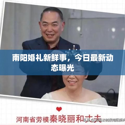 南阳婚礼新鲜事,今日最新动态曝光