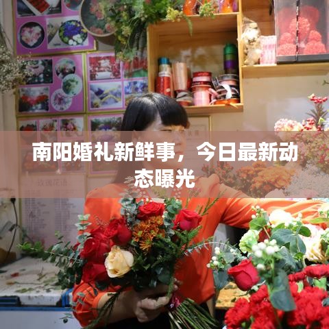 南阳婚礼新鲜事,今日最新动态曝光