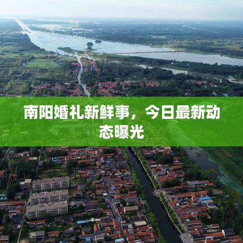 南阳婚礼新鲜事,今日最新动态曝光
