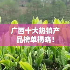 广西十大热销产品榜单揭晓!