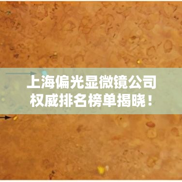 上海偏光显微镜公司权威排名榜单揭晓!