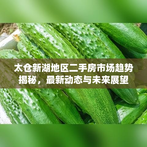 太仓新湖地区二手房市场趋势揭秘,最新动态与未来展望