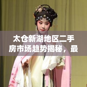 太仓新湖地区二手房市场趋势揭秘,最新动态与未来展望