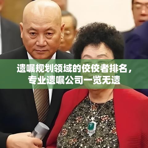 遗嘱规划领域的佼佼者排名,专业遗嘱公司一览无遗