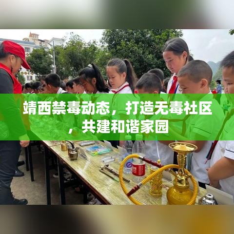 靖西禁毒动态,打造无毒社区,共建和谐家园