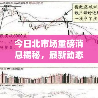 今日北市场重磅消息揭秘，最新动态一网打尽