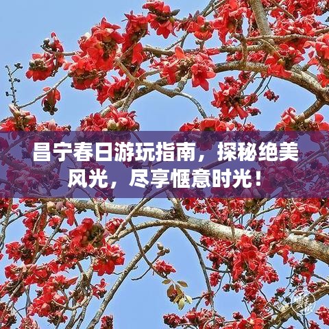 昌宁春日游玩指南，探秘绝美风光，尽享惬意时光！